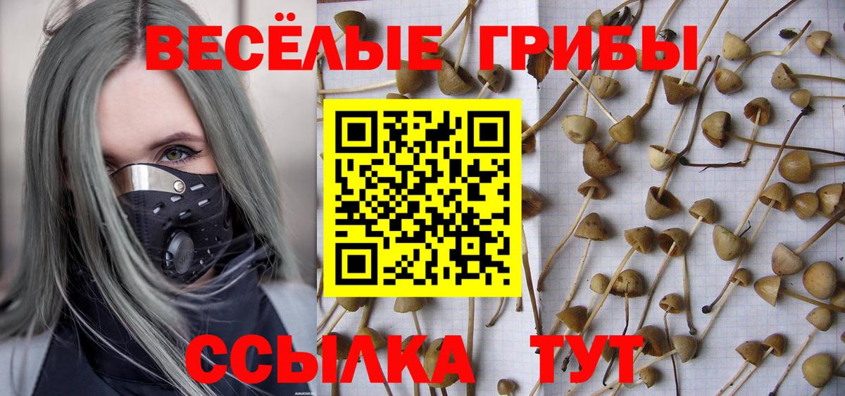 Галлюциногенные грибы мухоморы  Вход с VPN  Псилоцибиновые грибы Psilocybine cubensis  Ялта 